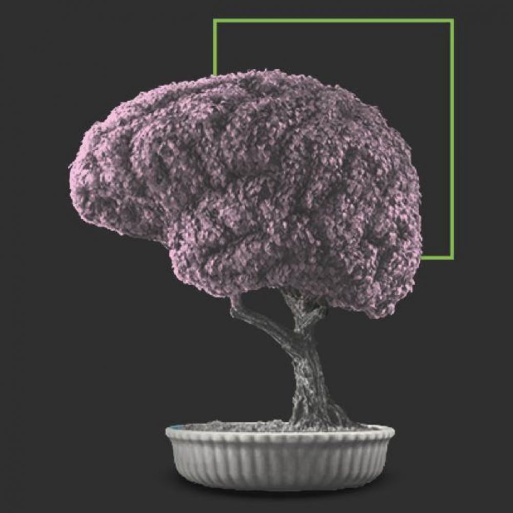 La interacción basada en cuentas es el futuro: céntrese en todo el proceso de compra